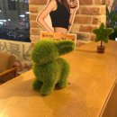 알토하임 이미지