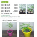 호산농원 이미지