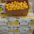 (주)골드레몬 이미지