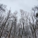 배방회룡2리경로당 | [아산둘레길] Go Go 세출회룡리 둘레길(배방)