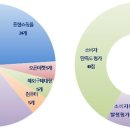 티켓몰 소비자를위한신문