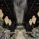 라노비아호텔 | [w1-1]대구 웨딩홀 투어(동촌 노비아갈라 시그니아,포레아 /마리드메이)(계약완료)(견적공유)