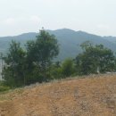 천천면사무소 이미지