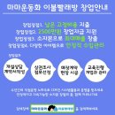 마마운동화빨래방 이미지