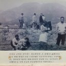 원탕고운호텔 이미지