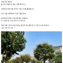 [서울여행]성북동을 걷다가... 이미지