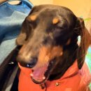 삼계삼풍대어린이공원 | [부산/정관] 부산정관맛집 정관찜닭맛집 봉추찜닭 부산정관점 솔직후기