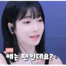 세연미가