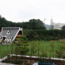 마당에는 누가 살까요