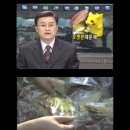 순풍인터넷PC 이미지