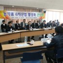 법인선농