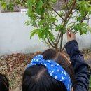 [1-2학년 절기살이] 4월 20일, 27일 : 곡우 산책, 엽서 만들기 이미지