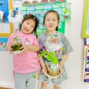 🌜5월 18일 고운달반의 하루 - 🎉＜체육 ‘플라이팡’&amp;우리반 텃밭 물주기＞🍅 이미지