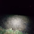 송천목장 이미지