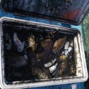 대야도항 이미지