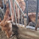 기북농장 이미지