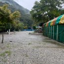 핫캠핑장 이미지