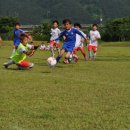 상전체련공원 이미지