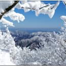 BYC건물 앞 이미지