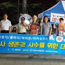 대리로R 이미지