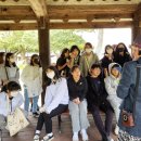 진도군내중학교 이미지