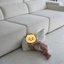 띠아모 | 층간소음방지 띠아모 매트 시공 후기 (내돈내산)