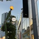 오사카 스트리트패션 스투시 미나미점 방문후기