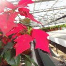 회인농장 이미지