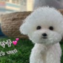 홍 - 창원시 성산구 중앙대로 75 | 홍
