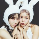 너는 내 댕댕 이미지