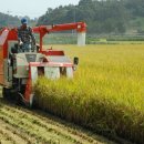 장성군농협조합공동사업법인 이미지