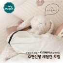 디어베어 이미지