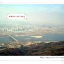 풍경장어 이미지