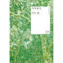 치치숲