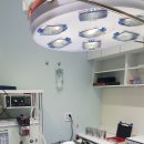 에버펫동물병원 이미지