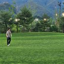 타이거CC 골프장 이미지