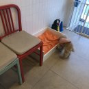 다다다펫그루밍 이미지