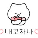 장성 꽃 화원 이미지