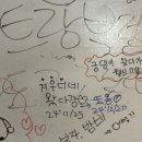 형제농장 | 울산 애견 운동장 강아지 독채 대관 삼형제농장 찐만족 후기
