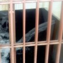 Radioactive 이미지