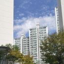 해피키즈어린이집 이미지