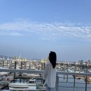 왕산요트클럽 | 인천 요트투어 영종도 선셋요트 왕산 마리나 내돈내산 후기