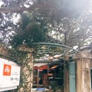 중앙동3가061 이미지