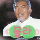 몰라 ㅡ song by 나훈아님 이미지
