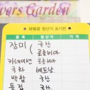 꽃피는날에