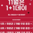 트랜스핏짐 이미지