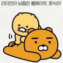 핑크 체리 이미지