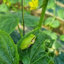 안우농장 이미지