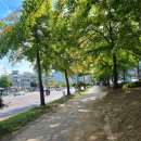 득량중학교 이미지