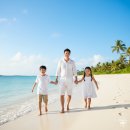 하나로 플라워 수족관 | 가을 해외여행 여행지 추천, 아이와 함께 추억 만들어요! (feat. 안아병 탈출템 뉴이 키즈 캐리어 공구중)